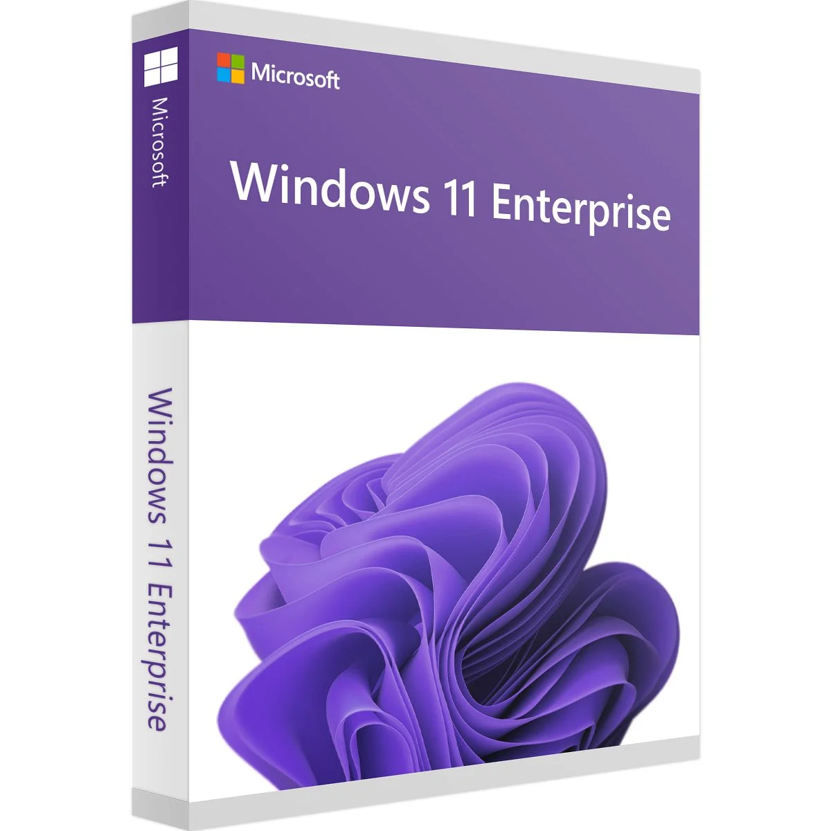 Windows_11_Enterprise